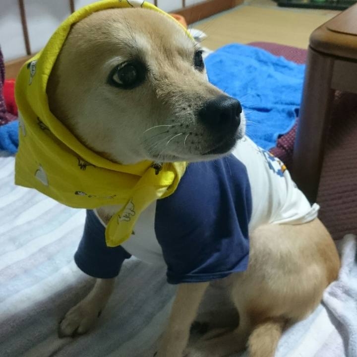 6a0d7350 a585 46cb 866b b47d4082297c