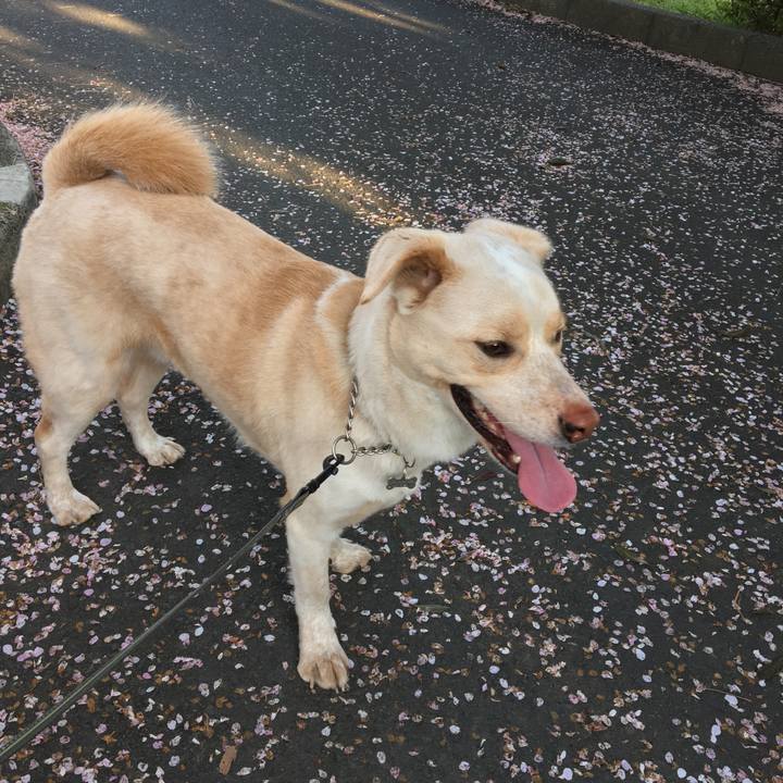 6a0de579 43a1 4ac6 b1a7 8096993d5835