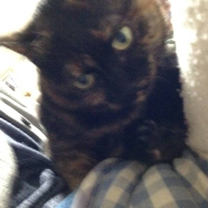 6a0dfe8e 03bb 42c1 b64f d36a6debf2e7