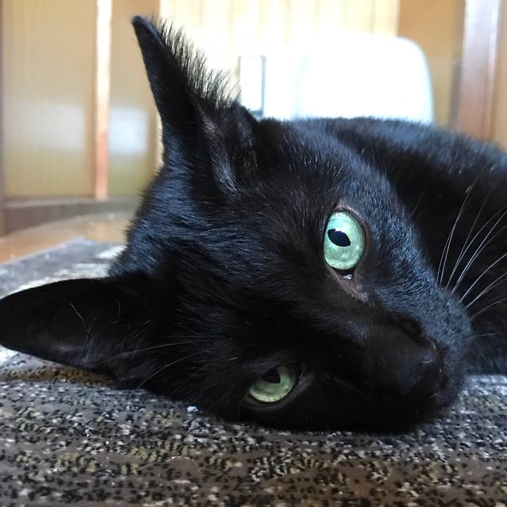 6a0e360e 275e 4329 9829 51d5fef9b859