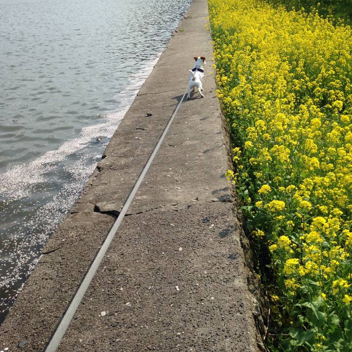 6a0ea1a0 5150 401a 8d01 eff7a31a5d2d