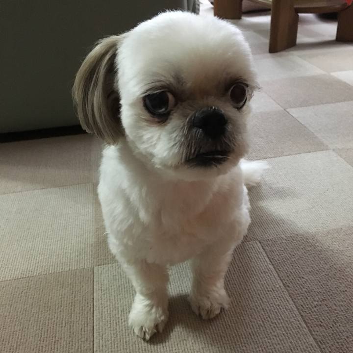 6a0ef05c f2d8 4746 9aeb e0d6fc9eb279