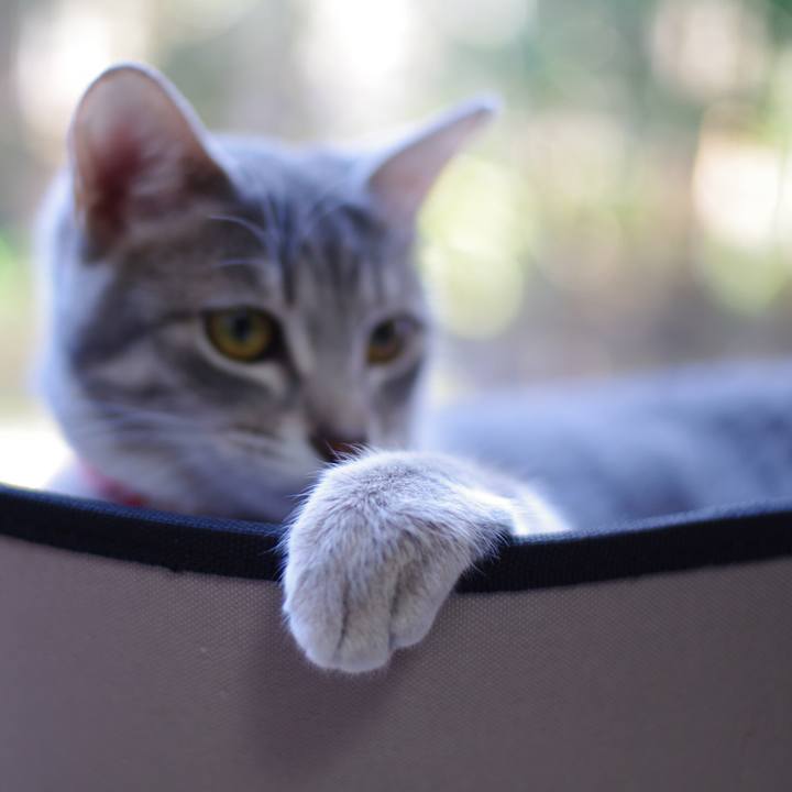 6a0f7234 2a55 446f 9a15 e591c3ee4c1c