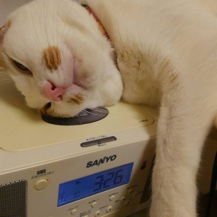 6a0f8d4b 0ee4 4578 b72d 5d58bb0ce1d3