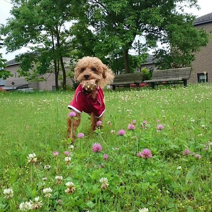 6a0f99f6 dd1d 420a 9535 9ca902309d26