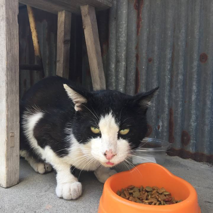 6a0fafd6 547b 44e6 beba 0c85a82f4b74