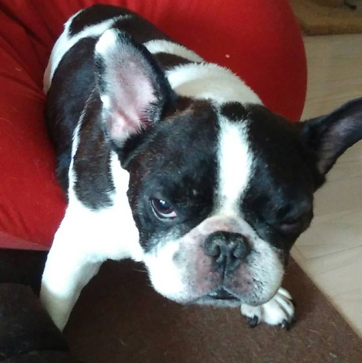 6a0fe721 e9d7 4530 8150 e855a0b37977