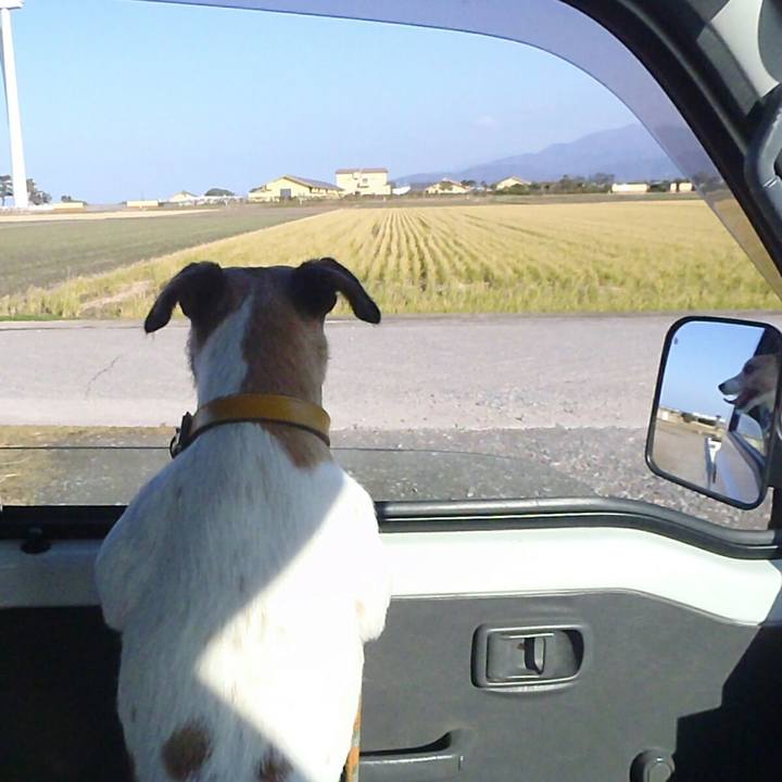 6a10f6f8 cb86 4e23 a265 037180ec632c