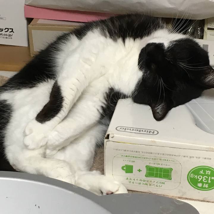 6a112832 ec60 4836 ac54 122dd7cbd7e6