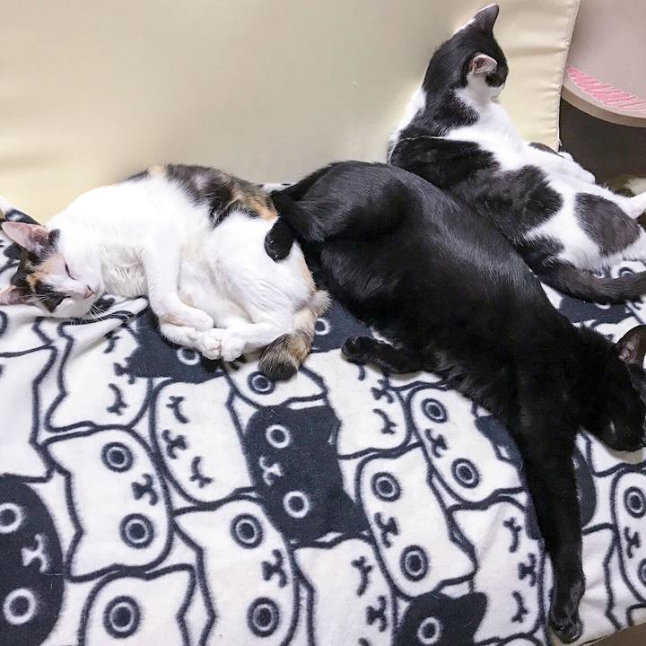 6a123eb0 c2f6 423c beda 917ce9805e06