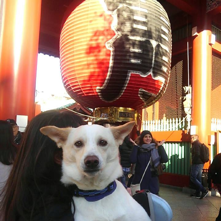 6a13d66d 75ef 4849 9898 0d3f4252ba4b