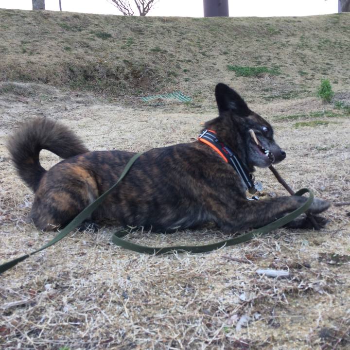 6a14d238 5da6 4e19 81f3 4b1505a576b1