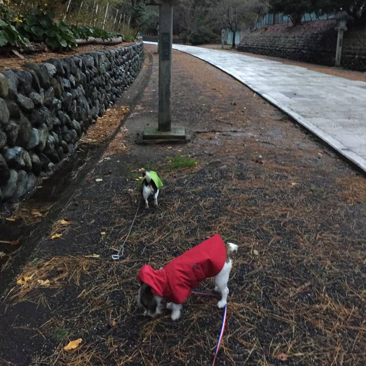 6a15db62 ad1e 448e bf18 d91d3f760bb6