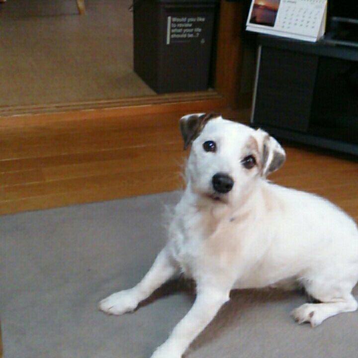 6a15f4e3 9744 475b a3ab d6f54110bde7