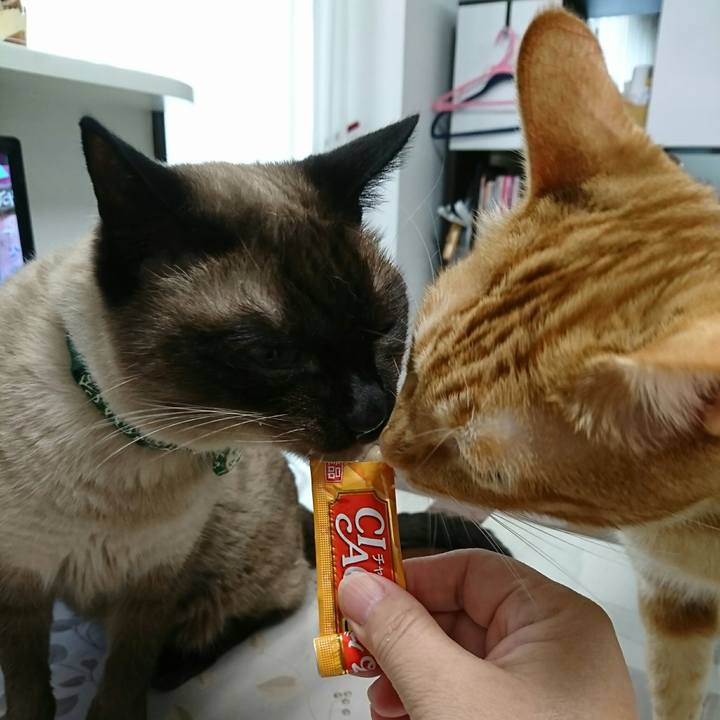 6a1620a4 a6f6 444f 9f30 fd381af7bc9b