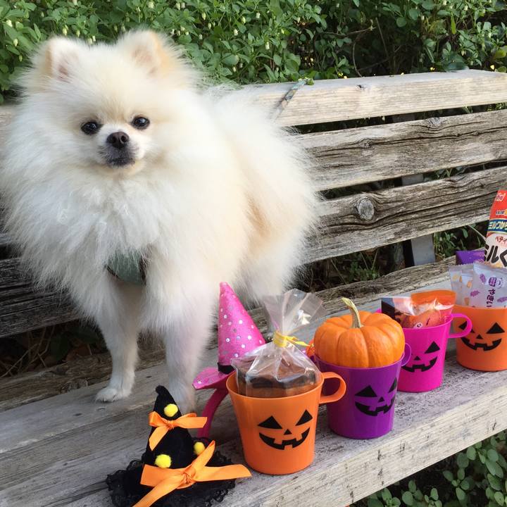 6a167a01 8656 49ea 81d9 4799362fb218