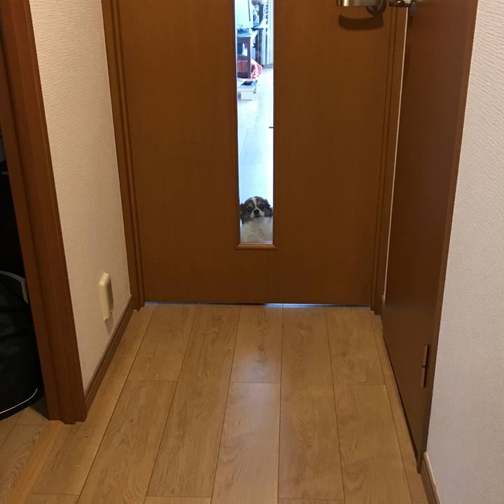 6a1708f0 9cde 4c97 9b27 168ffd0bcef6