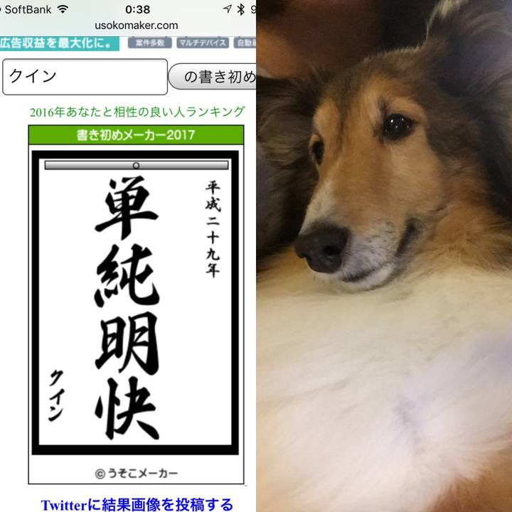 6a1766da 23e2 4b5e bcdf a67438079547