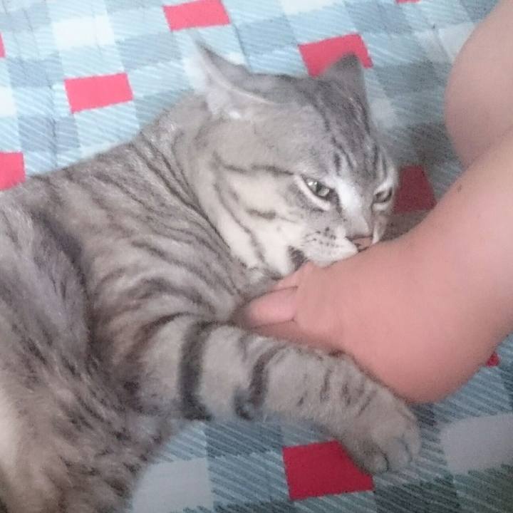 6a179f7f 6179 45e1 8dee 2a1fe844bfb6