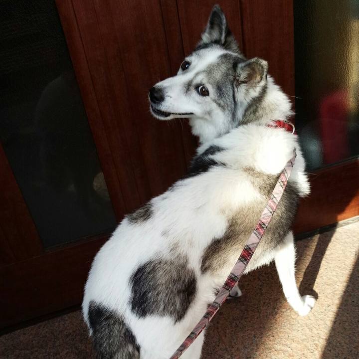 6a17de27 8e8a 47ed 82d5 6b6eca0724d5