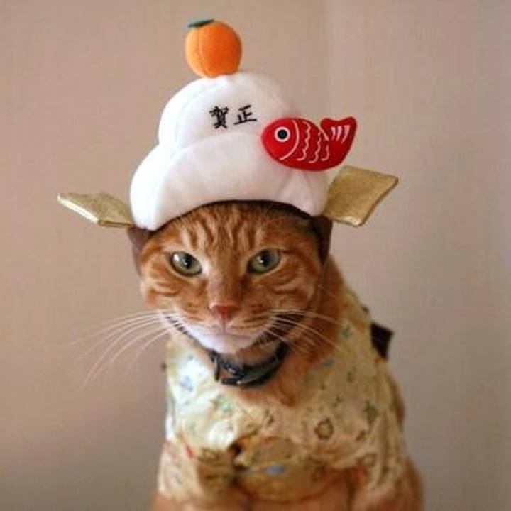 6a17ee16 6698 4e20 915e 94b504b2427f