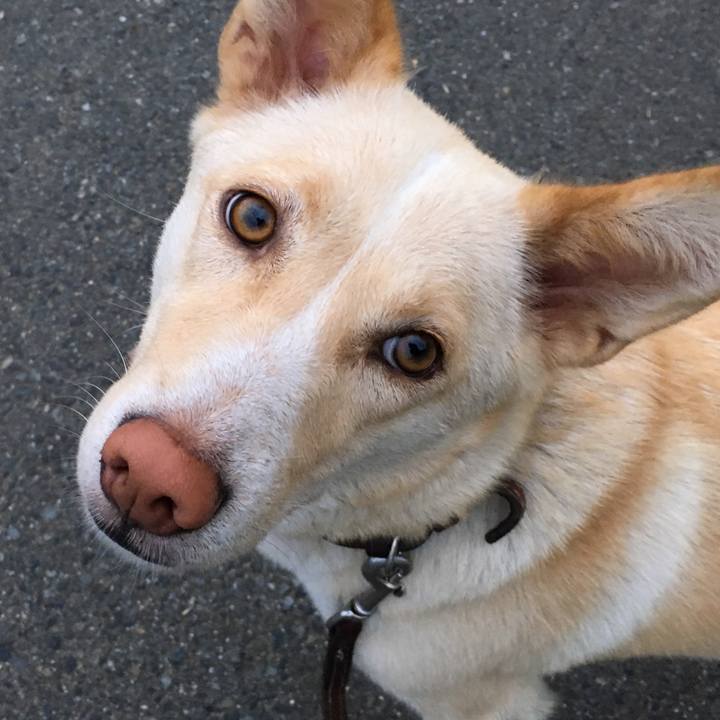 6a17f33a c284 4247 b840 6de646f81700