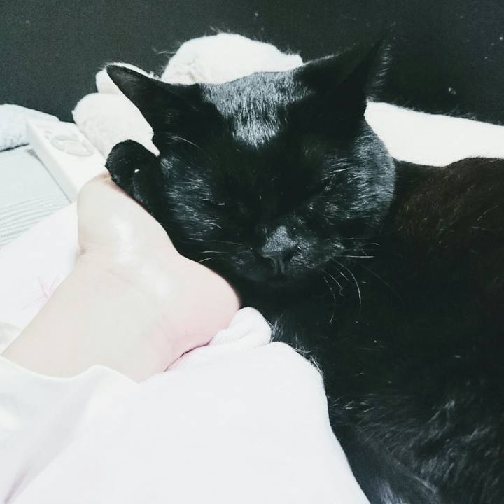 6a184846 39ae 4506 b48b a61c5f082202