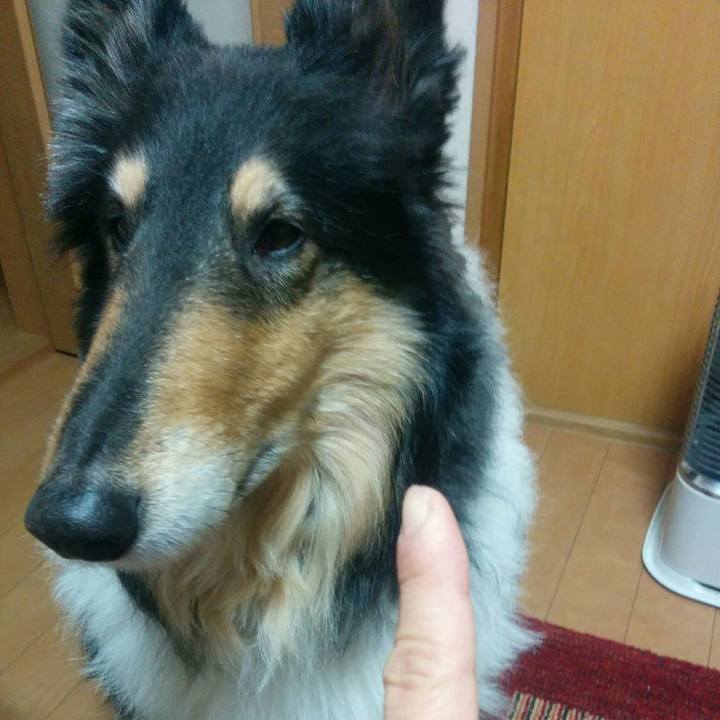 6a1849e6 5cad 4c31 b665 2f3d16dba1a9