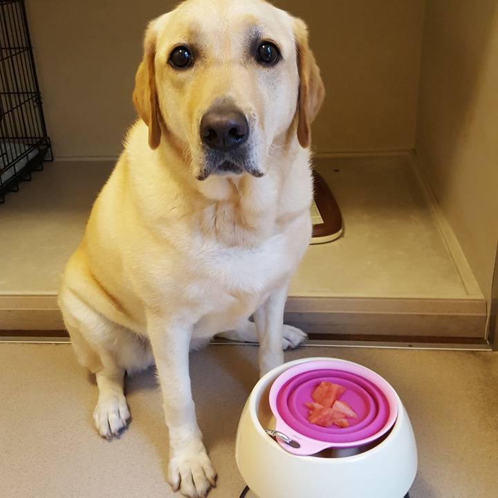 6a189029 7f1c 4ce7 a069 25a6f519280a