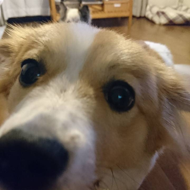 6a18d87c ba09 402c b175 c7ed2deda297