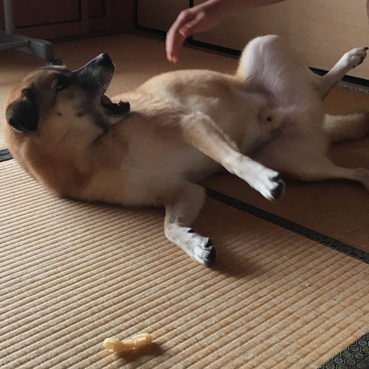 6a19830c 6f81 486d 9dd8 45578a845aaa