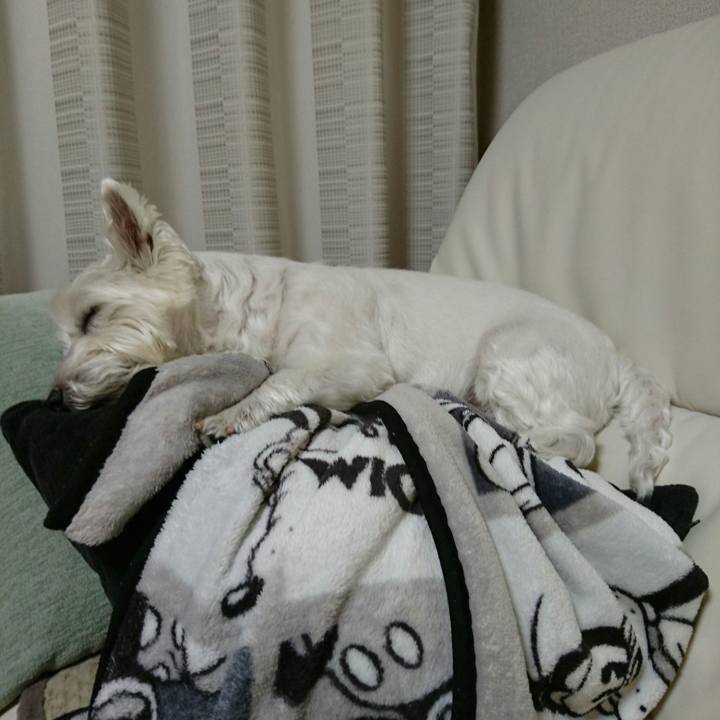 6a198646 b325 40fe b827 accbc9a3c2f1