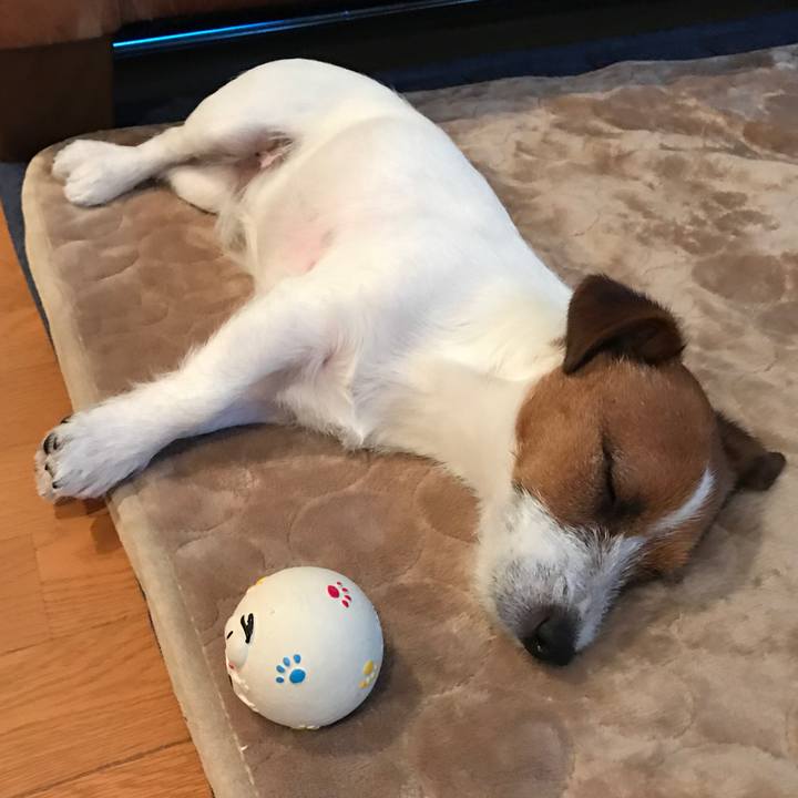 6a1a3bbb c54a 4e6d 92e4 fefe5f55bd3e