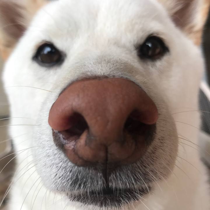 6a1aad73 be2a 4cb6 a76f 03f3ec0c08be