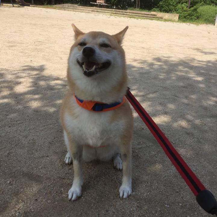 6a1af1a9 04d4 4c0a b3a4 4bb180dd0e02