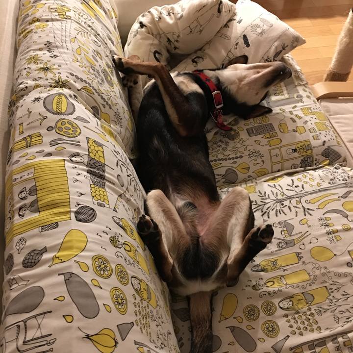 6a1af87d 31d8 48b8 b0d3 ad7bea43d098