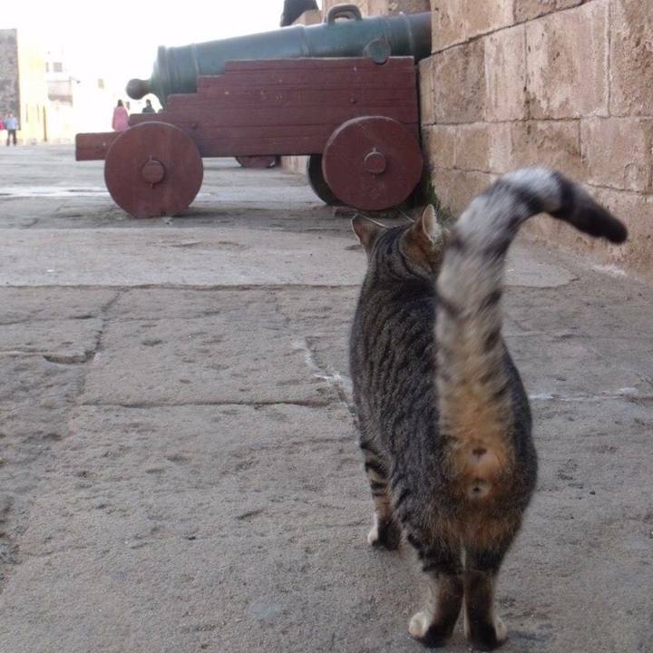 6a1b5441 6cce 468c 8f60 f537d3b9d5d3