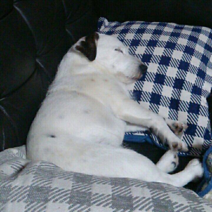 6a1b711a 33d3 4393 90d9 800b5ad42f80