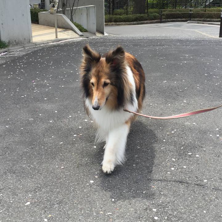 6a1b96a8 2b75 4d09 84d6 5931c68c13c0