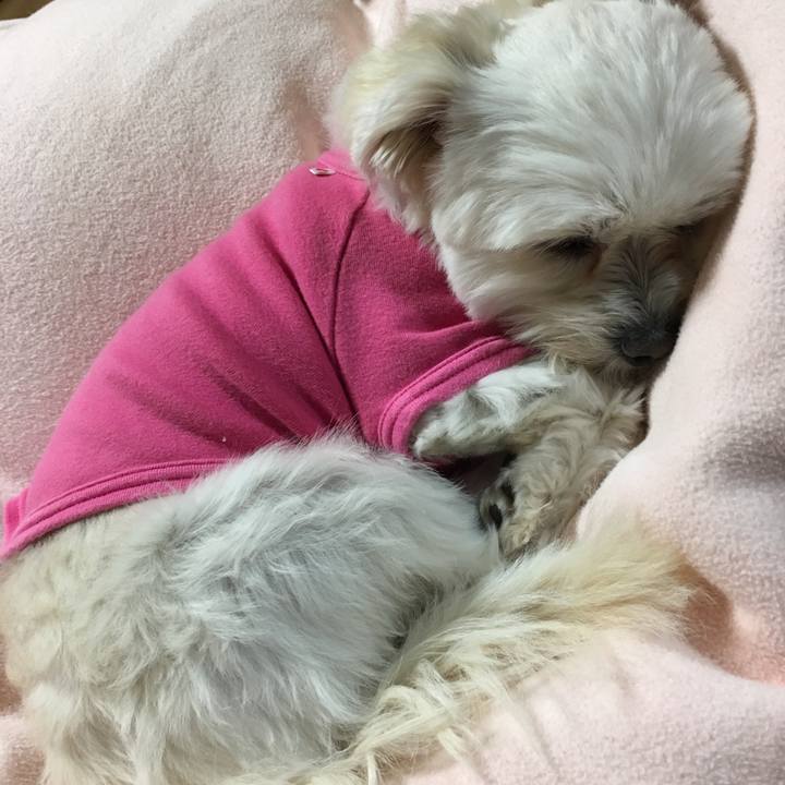 6a1b98e3 3123 4a14 a2ee 0ff630210ce3