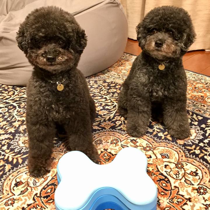 6a1cd5bb 7871 49d6 8198 e59ed93bde2d