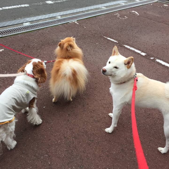 6a1d0a8f a1e8 4115 96fc 4d154b025c12