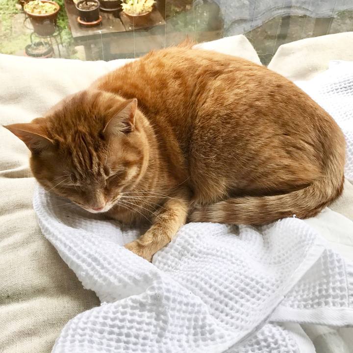 6a1d73f4 1ce4 40e8 8a32 17cd467b46f8