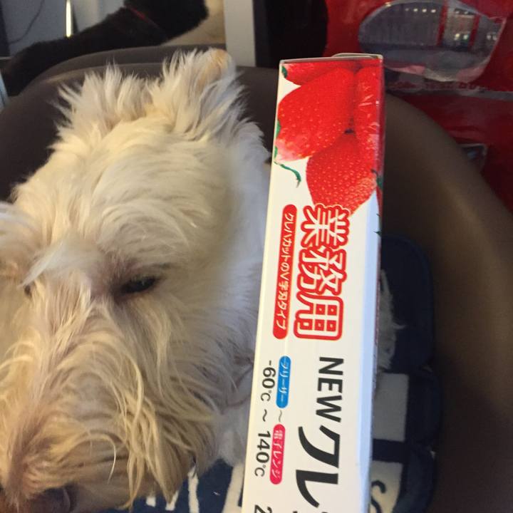 6a1d958c 8b66 4f59 b792 2625fc8f8776