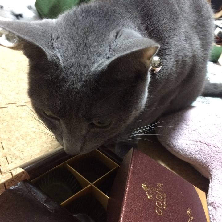 6a1dc4a9 908d 47d3 8702 b1f3e0f3876c