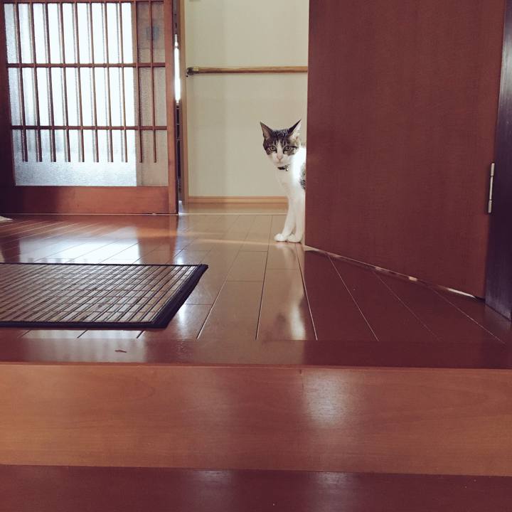 6a1e157e 1d7c 4f7c acb0 b02bdb442ff8