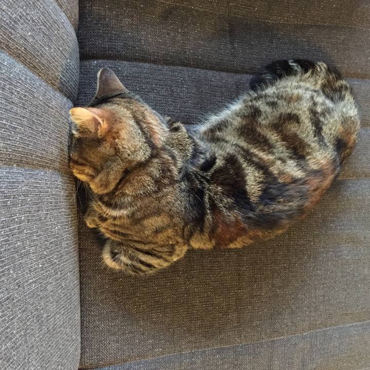 6a1e23bd f0eb 4c2a bf0b f765b9ed8a3e