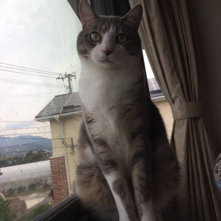 6a1f2539 cb9a 4dff 911a 72dd70b21ff0