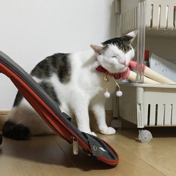 6a1f2b8a bb93 4bad b3e6 42a11ea6619c