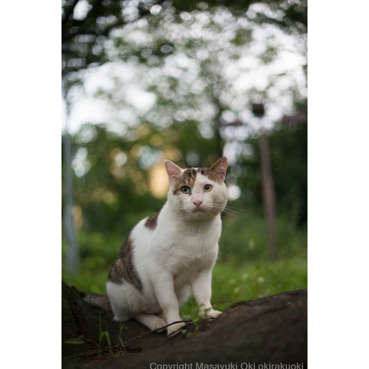 6a1f4a7a e856 49b8 8bdd 10453b468eff